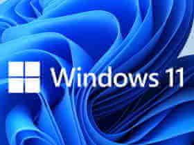 Windows11 v23H2(22631.2506) 不忘初心纯净版