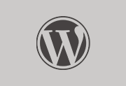 WordPress 6.4.2 简体中文正式版-专注设计-